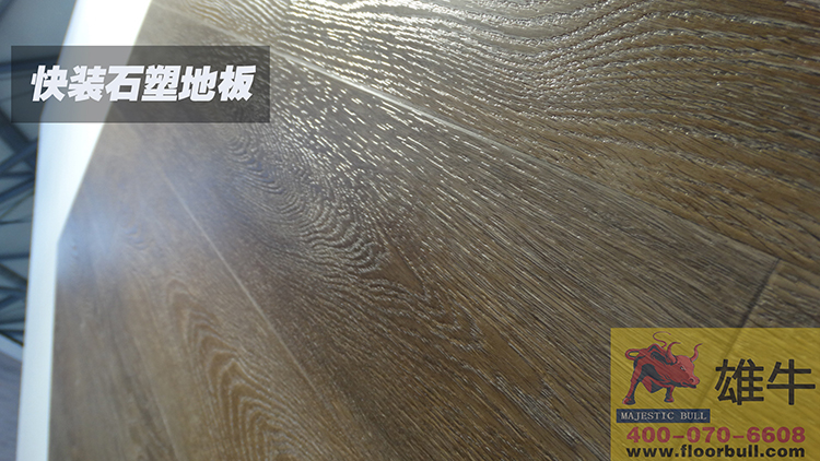 快装锁扣环保地板2018年上海世界建筑材料博览会环保地板展区
