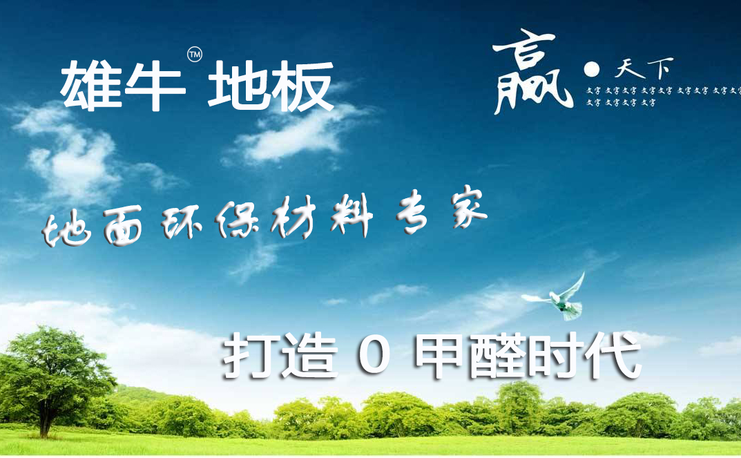 雄牛塑胶地板致力于地面环保材料